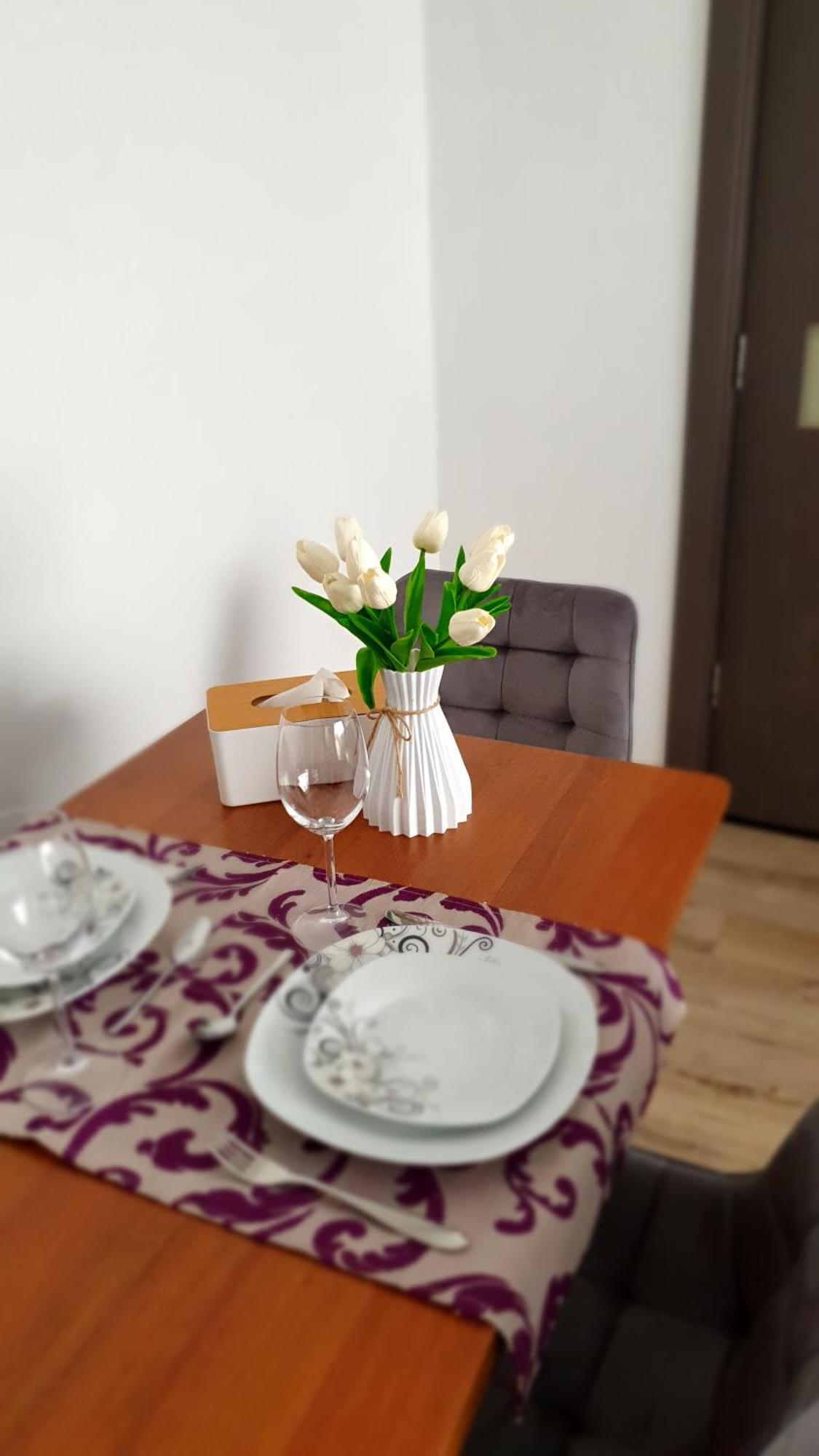 Andrei Apartment Braşov Buitenkant foto